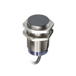 Inductive sensor XS6 M30 - L62mm - brass, 1NO, Sn15mm - 12..48VDC - cable 5m