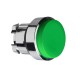 Green projecting pushbutton head  diameter 22, push push, unmarked