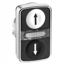 White flush, black flush illuminated double-headed pushbutton diameter 22, with marking