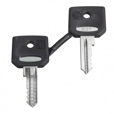 Set of 2 special keys for 4 multichips keylock