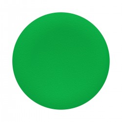 Green cap, unmarked for circular flush pushbutton, diameter 22