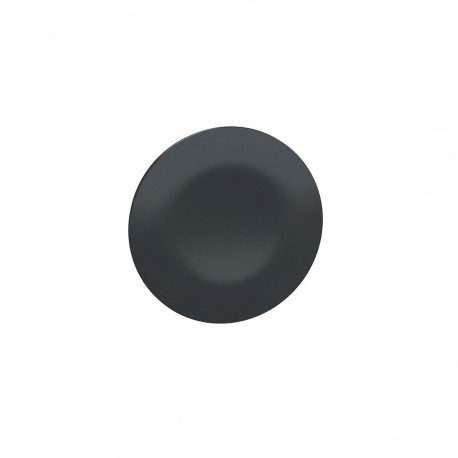 Black cap, unmarked for rectangular multiple-headed pushbutton, diameter 22