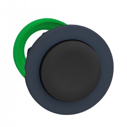 Flush mounted black projecting pushbutton head