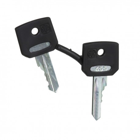 Set of 2 keys 455