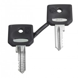 Set of 2 keys 4A185