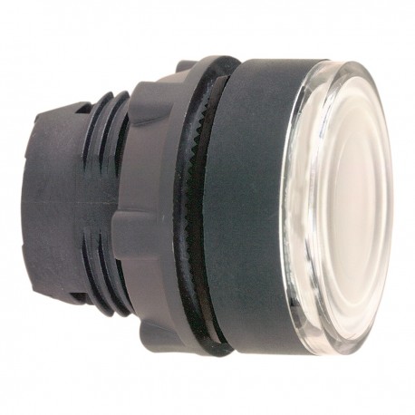 Flush white illuminated pushbutton head diameter 22, spring return, for integral LED