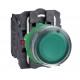 Green flush complete illum pushbutton diameter: 22, spring return 1NO+1NC 24V