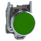 Green flush complete pushbutton diameter 22, spring return 1NO - unmarked