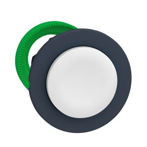 Glava tipkala, više boja