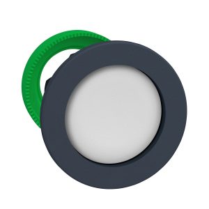 Glava tipkala, bijela